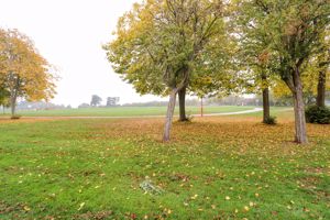 Outlook- click for photo gallery